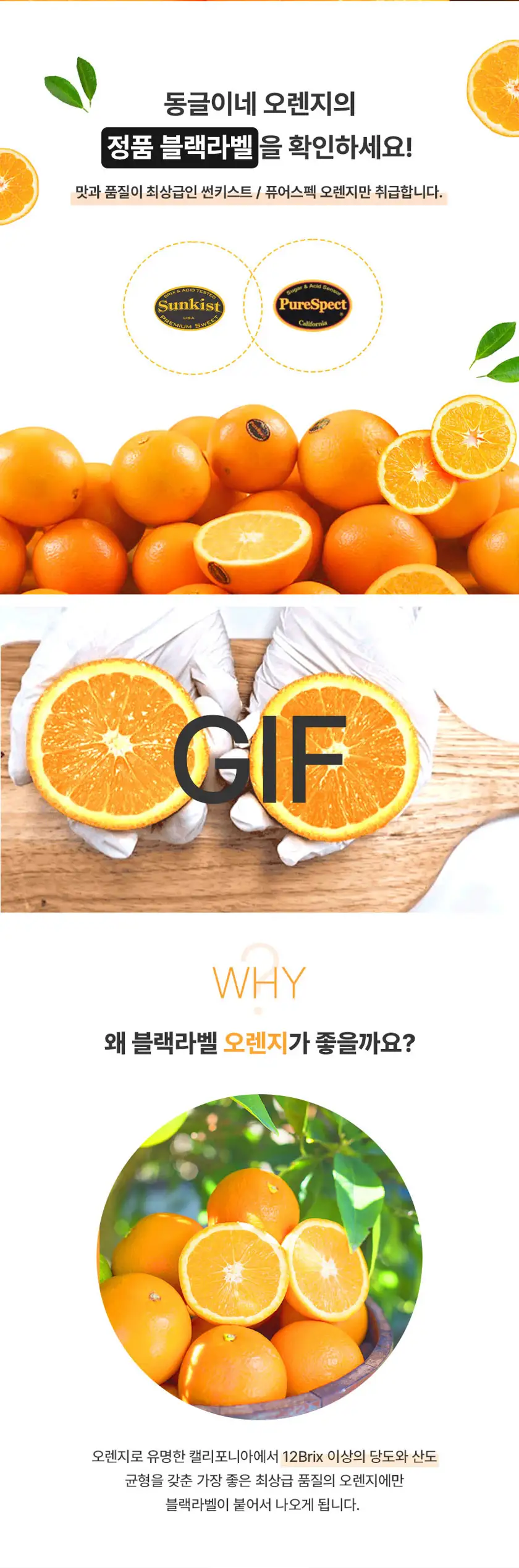 동그리네(오렌지) 상세페이지 상세 이미지 3