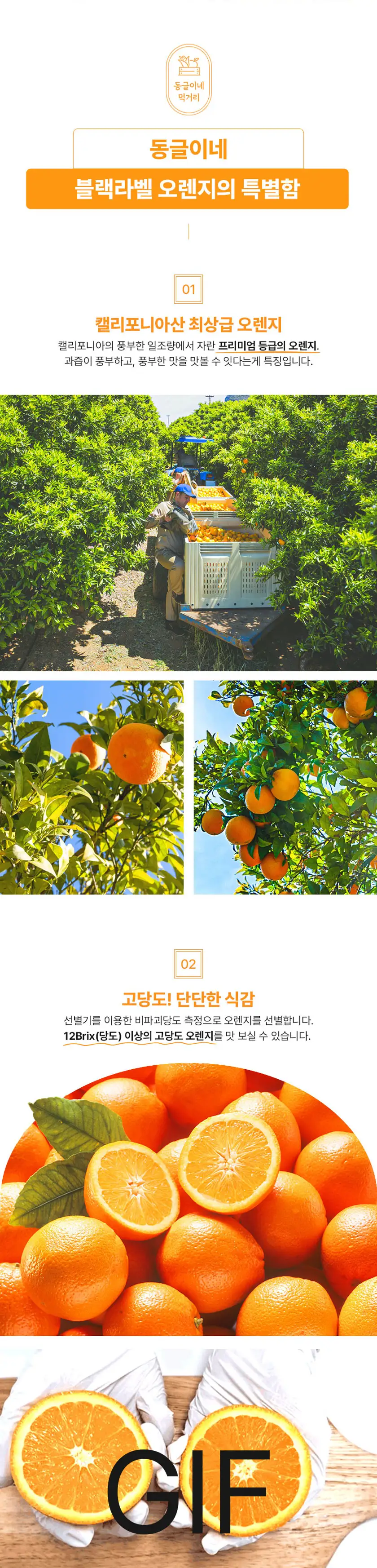 동그리네(오렌지) 상세페이지 상세 이미지 5