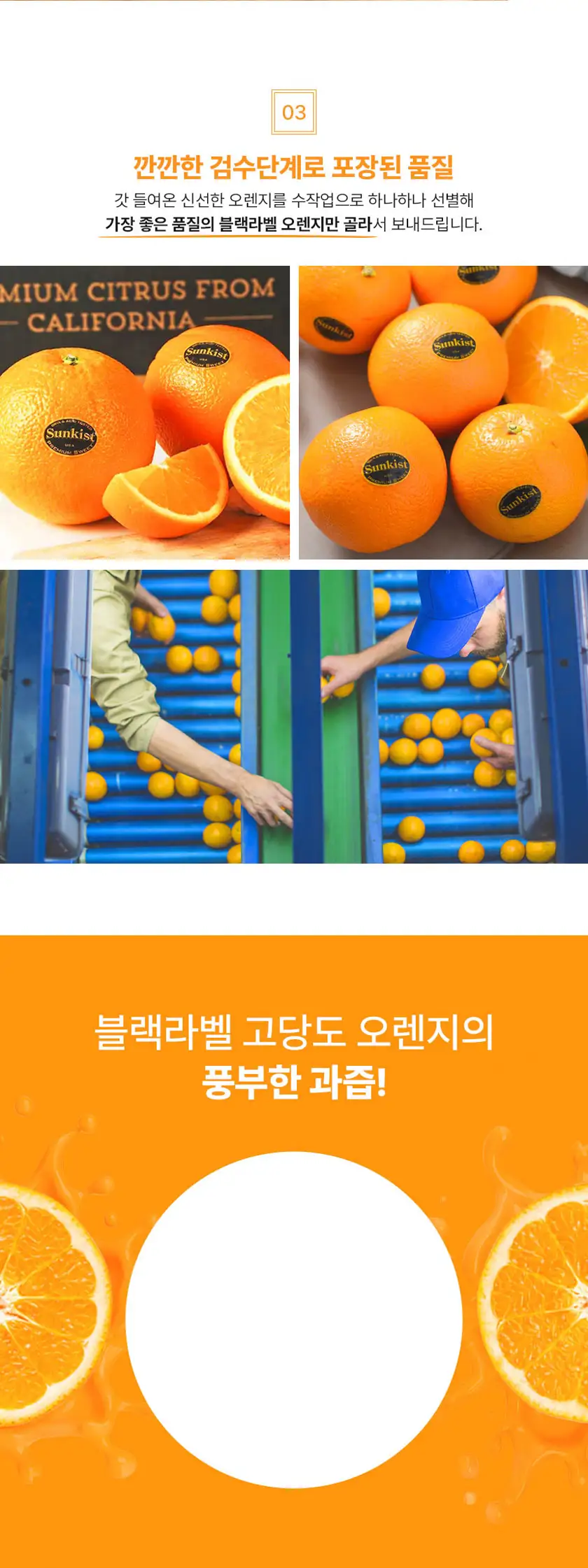 동그리네(오렌지) 상세페이지 상세 이미지 6