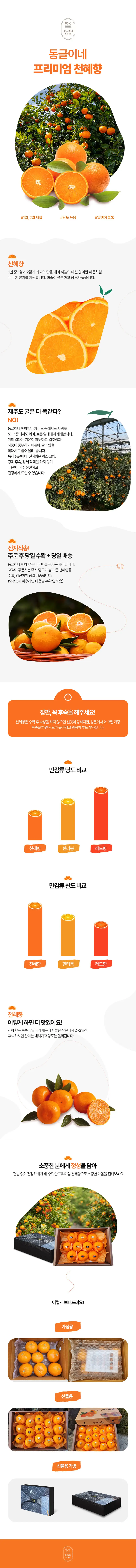동그리네 상세페이지 상세 이미지 2