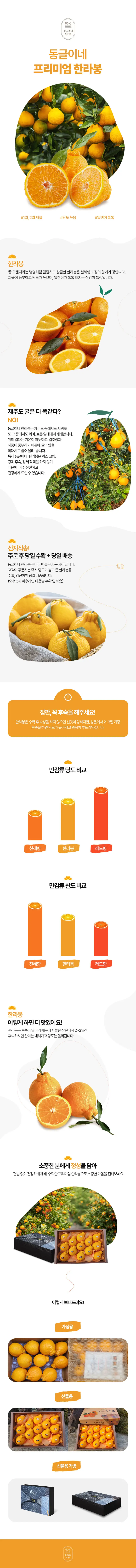 동그리네 상세페이지 상세 이미지 3