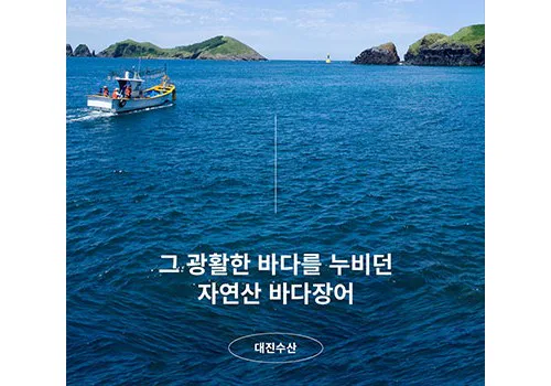 대신수산 상세페이지 작업 이미지